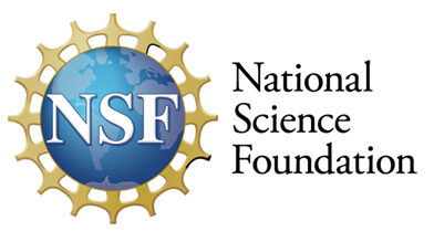 NSF logo e1663040353755